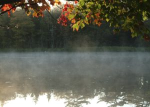 Water at the pond